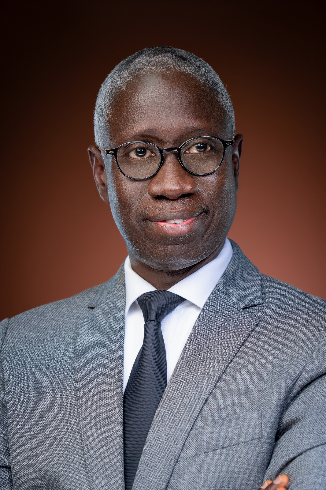 Ibrahima Nour Eddine Diagne — Administrateur Général de GAINDE 2000 · Vice-président de la Pan-Asian E-commerce Alliance